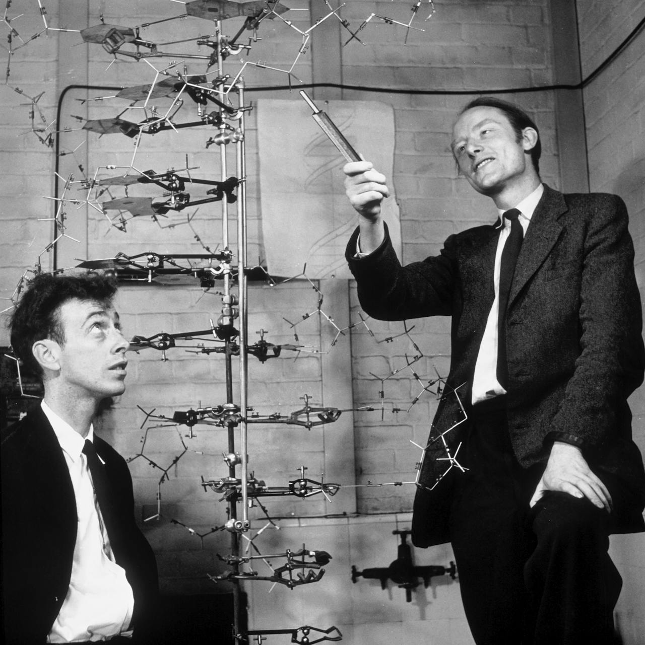 Een zwart wit foto van James Watson en Francis Crick. Zij staan bij een deel van hun model van het DNA-molecuul.