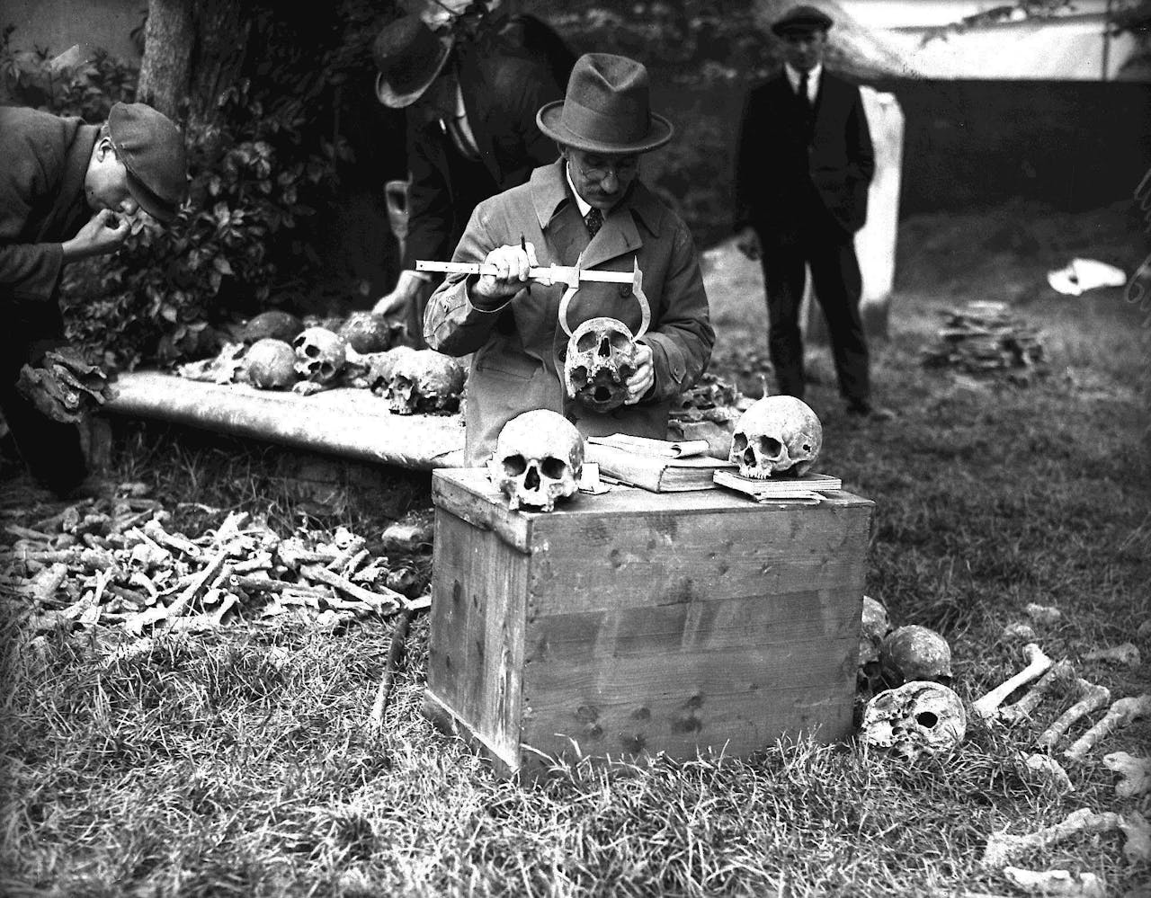 Een antropoloog met een hoed is omringd door schedels. De antropoloog gebruikt een schedelpasser.