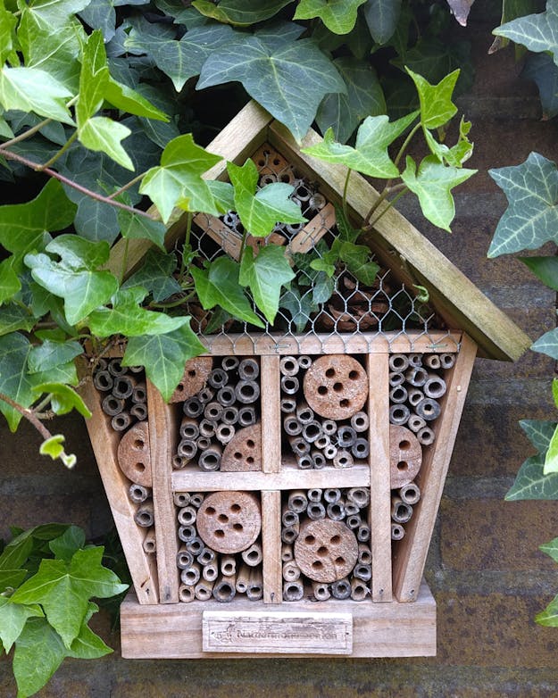 Insectenhotel in de tuin van Myrte Insectenhotel
