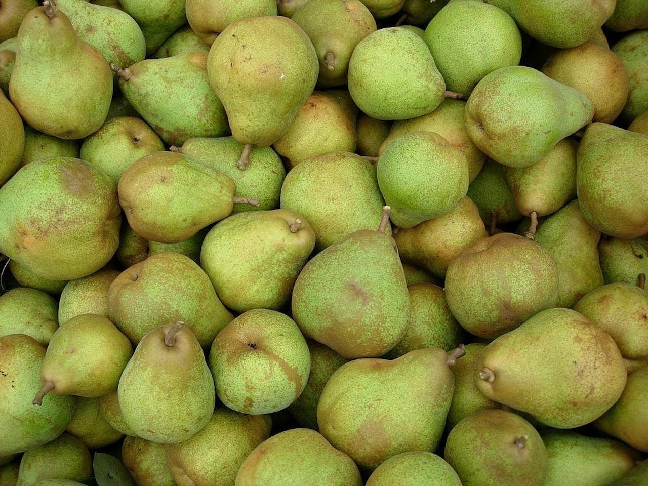 Blijven peren straks langer houdbaar dankzij de nieuwe folie?