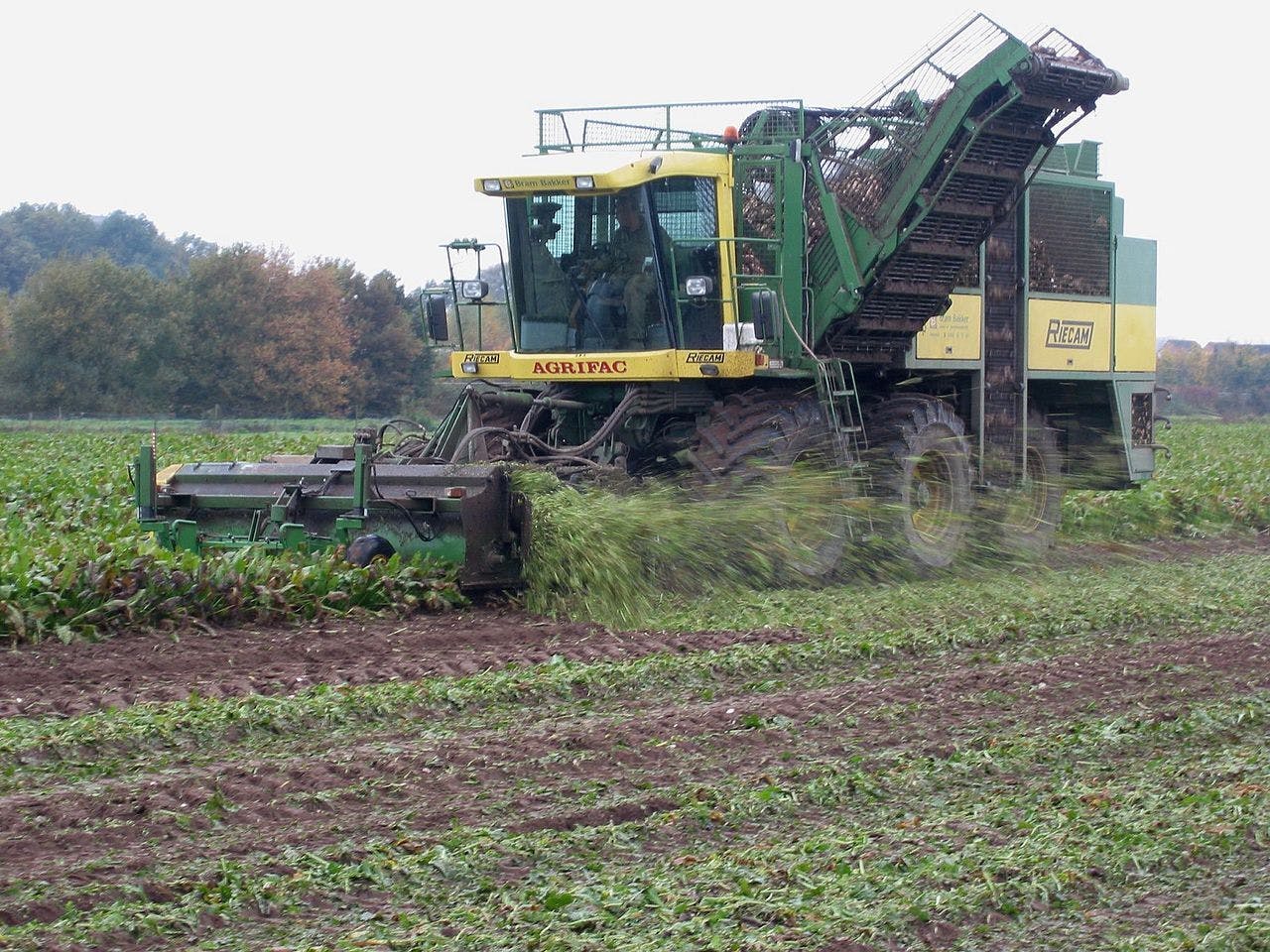 Zelfrijdende suikerbietenrooier. Door de bandenspanning te verlagen wordt de druk op de bodem lager. Er zijn zelfs machines met rupsbanden.