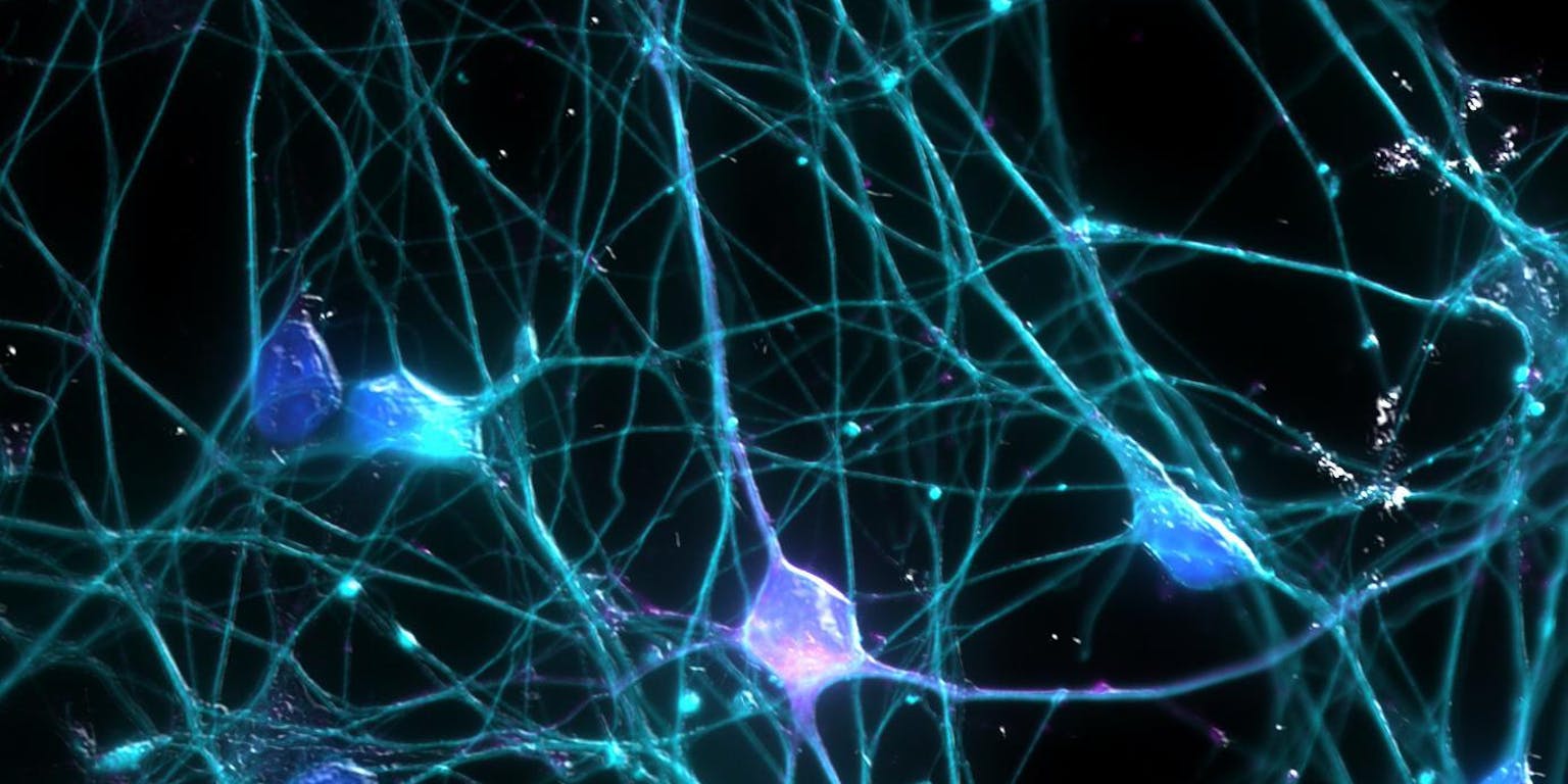 Een close-up van neuronen op een donkere achtergrond.