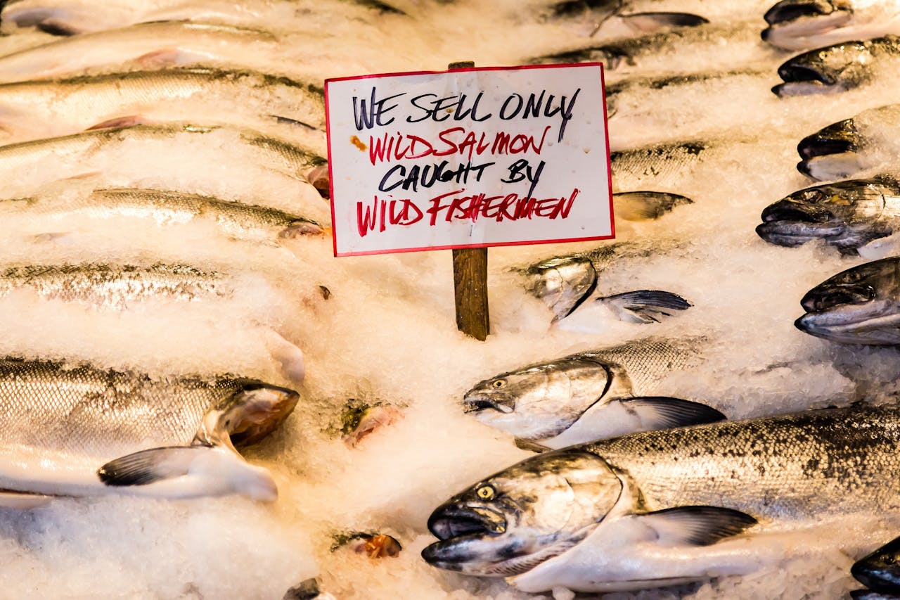 Een bord waarop staat dat alleen wilde zalm verkocht mag worden. Het bord staat tussen de vissen die in ijs liggen.