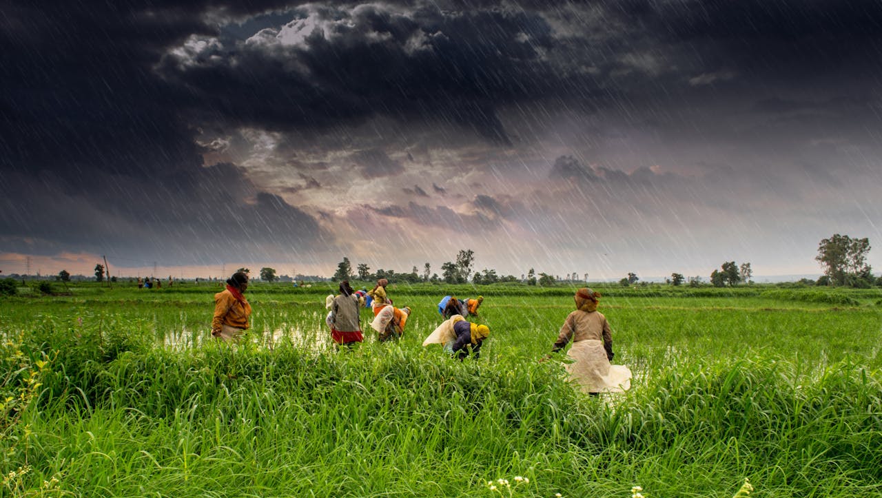 Een groot deel van de plattelandsbevolking in India heeft geen bankrekening en kan niet of nauwelijks lezen en schrijven. Dat geeft corrupte ambtenaren riante mogelijkheden om steunprogramma’s af te romen. Zo verdwijnt tot wel tachtig procent van het geld dat bestemd is voor de allerarmsten.