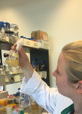 Een vrouw in een laboratorium die naar een fles kijkt.