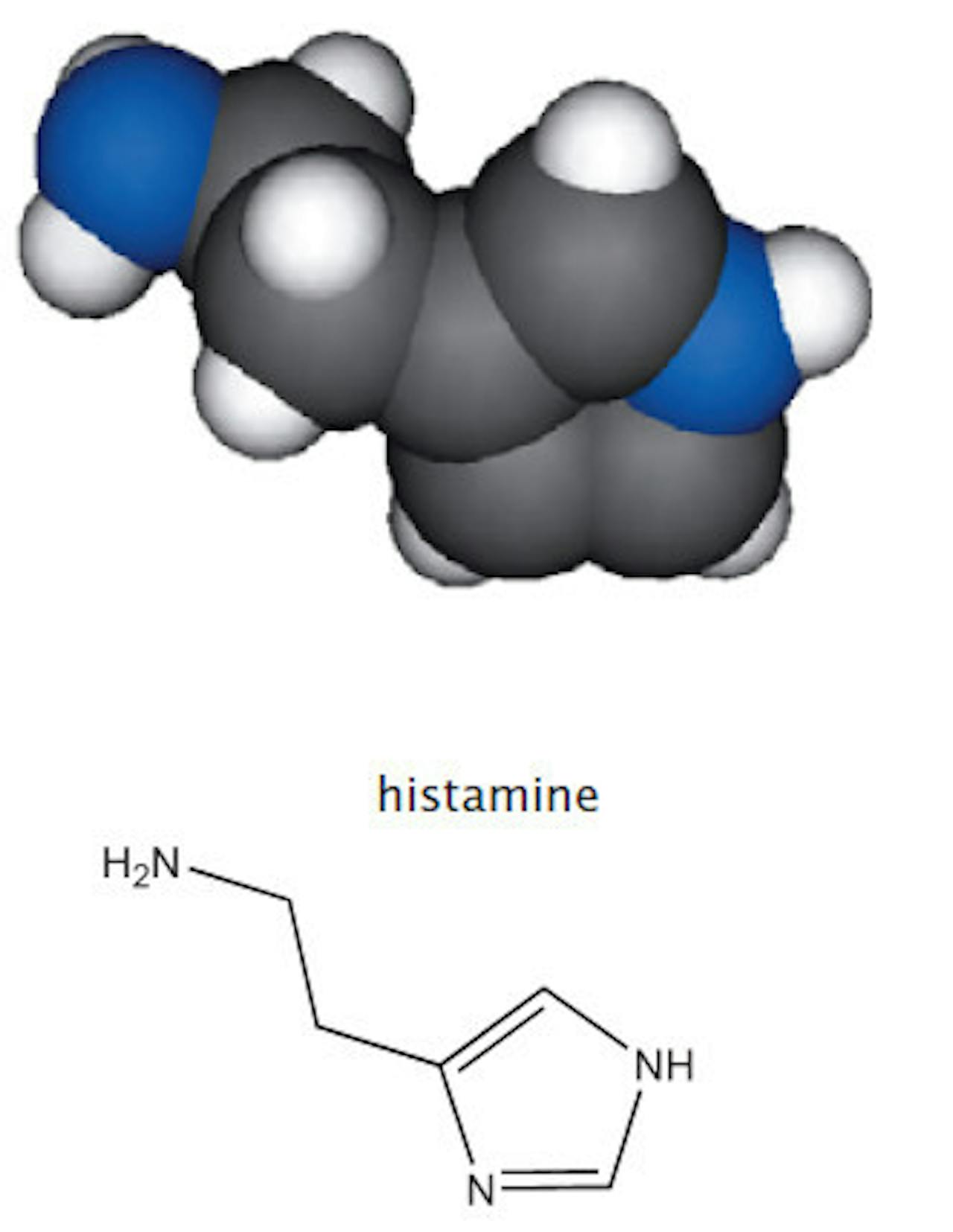 Een afbeelding van histamine, een chemische verbinding.