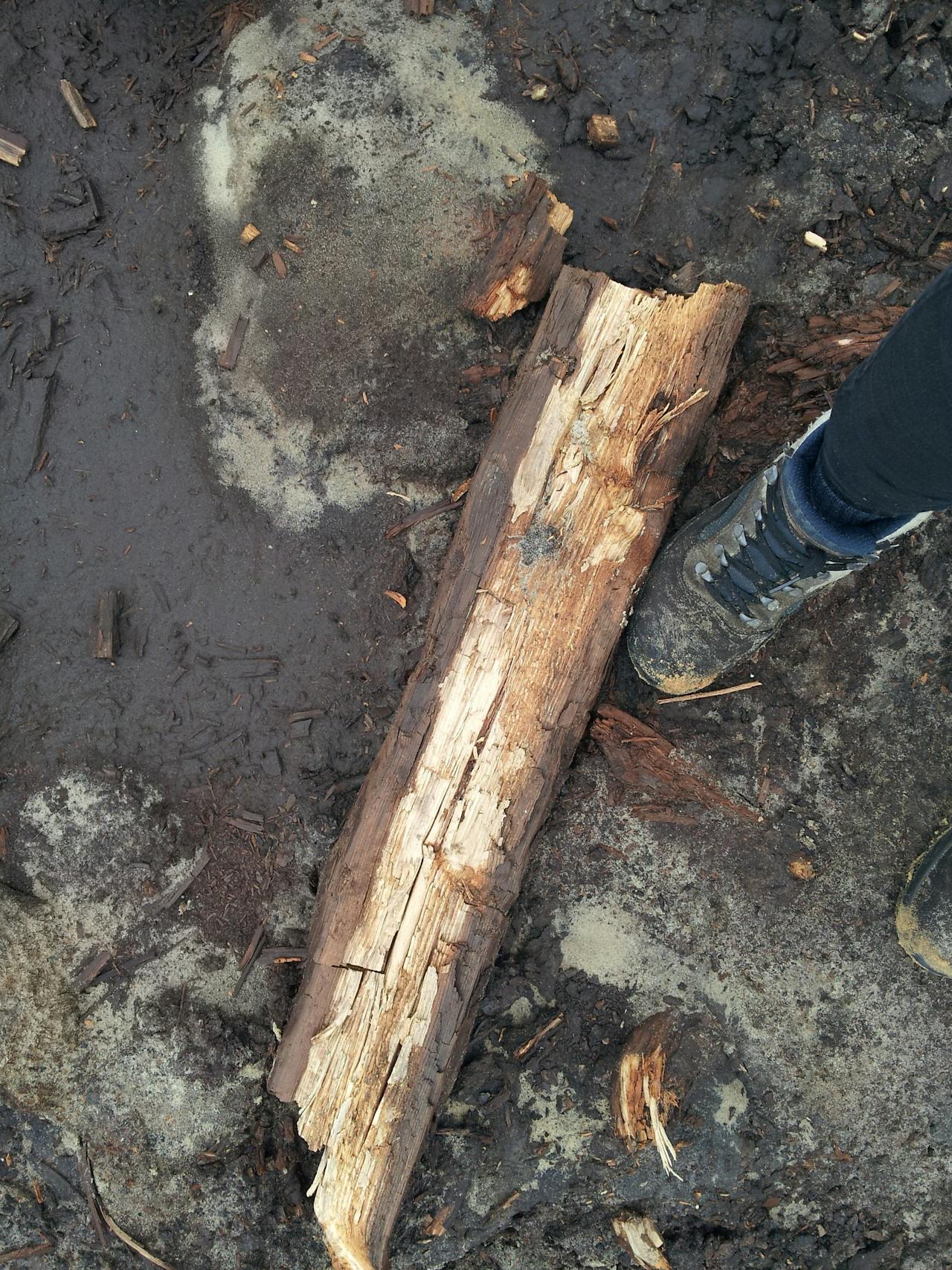 Het oude hout oogt nog vers