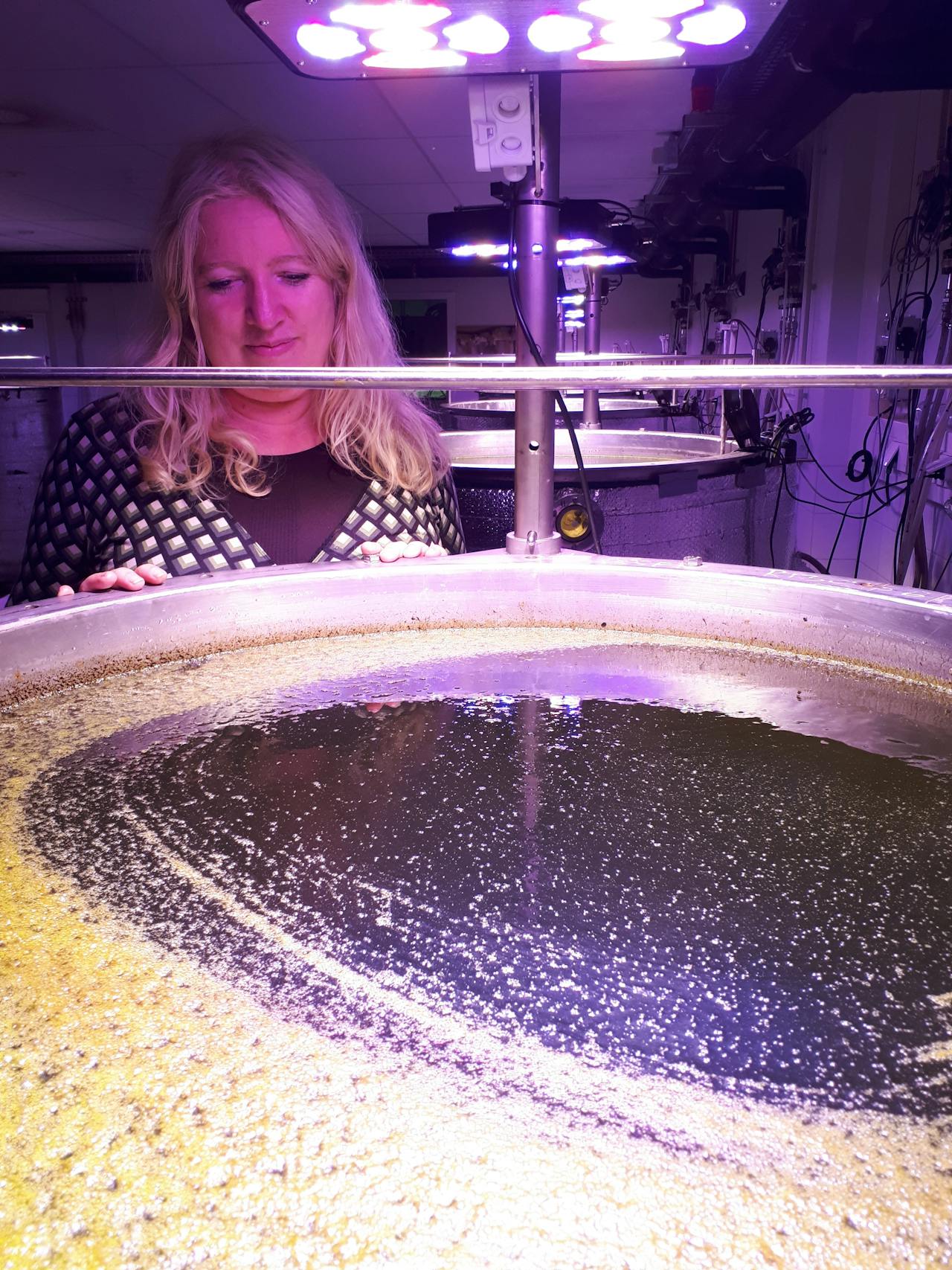 Aquatisch ecoloog Lisette de Senerpont Domis bij de limnotrons in het NIOO. In deze ‘minimeren’ worden de effecten van allerlei verstoringen onderzocht.