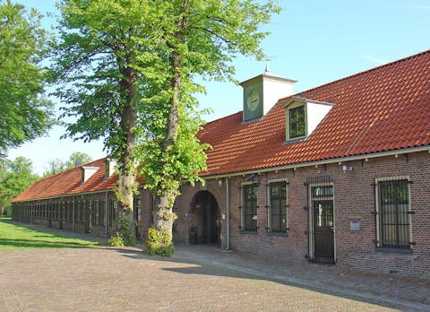 Gestichten, zoals psychiatrische ziekenhuizen toen nog werden genoemd, zorgden ervoor dat patiënten extra aandacht kregen. Een lange gevel, met meerdere voordeuren, en daarvoor een boom in blad.