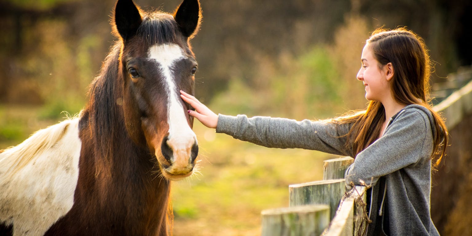 Een meisje dat een paard aait bij een hek.
