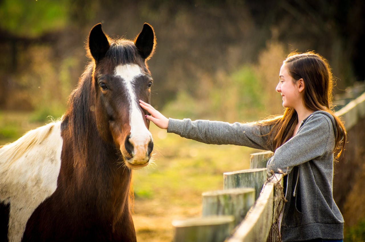 Een meisje dat een paard aait bij een hek.