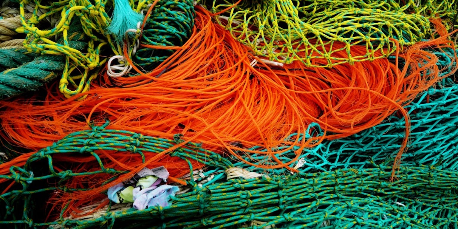 Visnetten in verschillende kleuren.