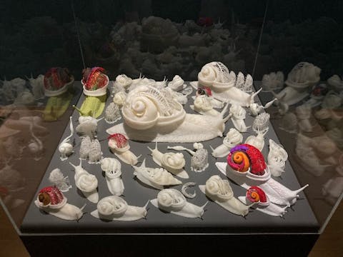 3D-geprinte modellen van een aantal slakken. Mieke Roth - de maker van de modellen - heeft daarbij bewust alle organen een eigen kleur gegeven en dit consistent gehouden over alle modellen heen. 3D-geprinte modellen van een aantal weekdieren, waaronder slakken