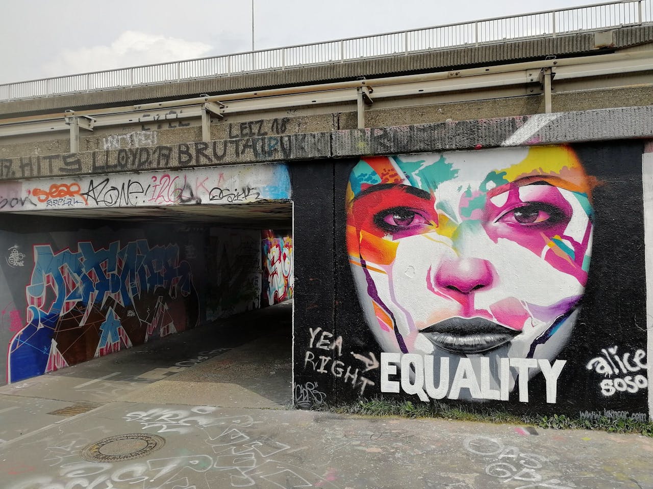 Een met graffiti bedekte brug met een vrouwengezicht erop.