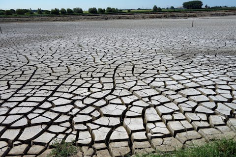 Nederland kende in 2018 extreme droogte. Gecraqueleerde grond.