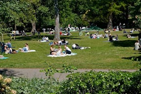 Een groep mensen die op een zonnige dag in een park zitten.