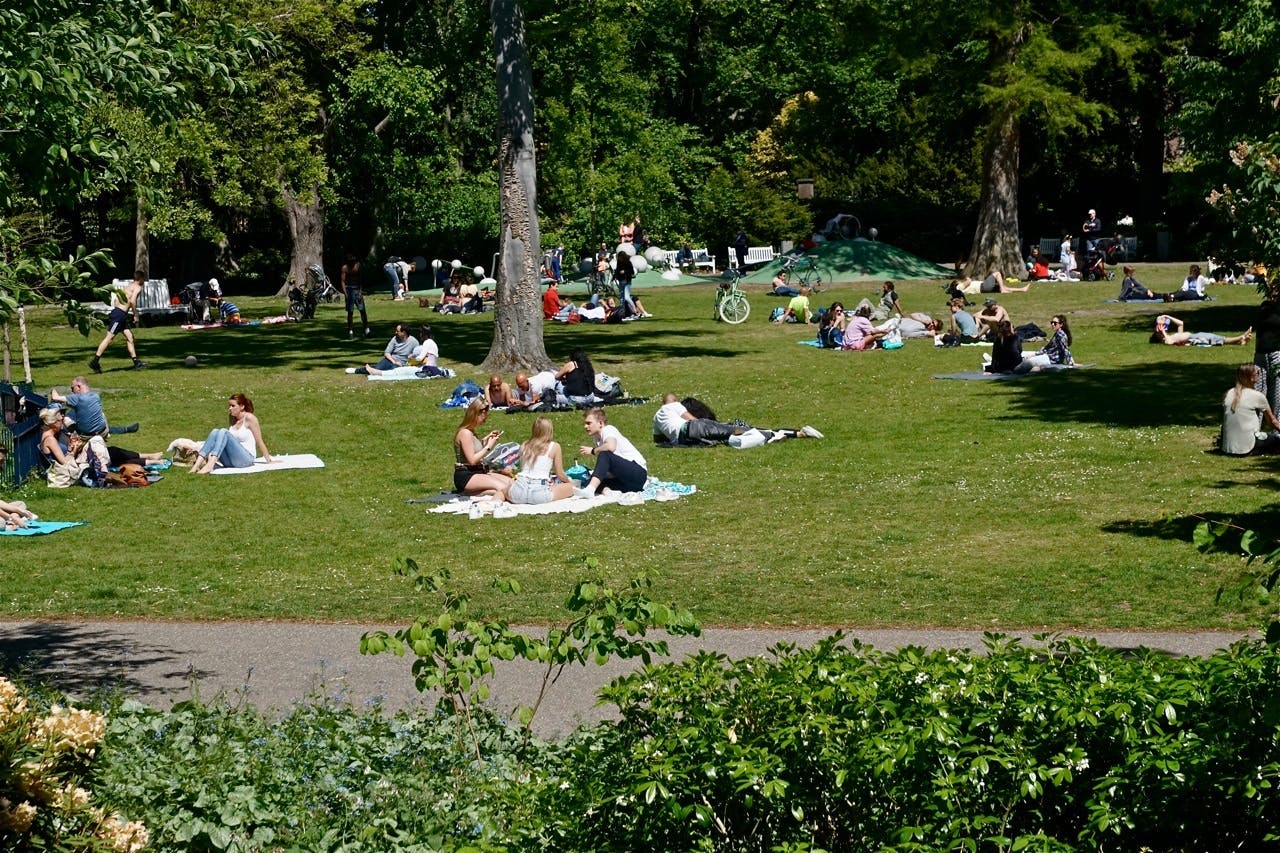 Een groep mensen die op een zonnige dag in een park zitten.
