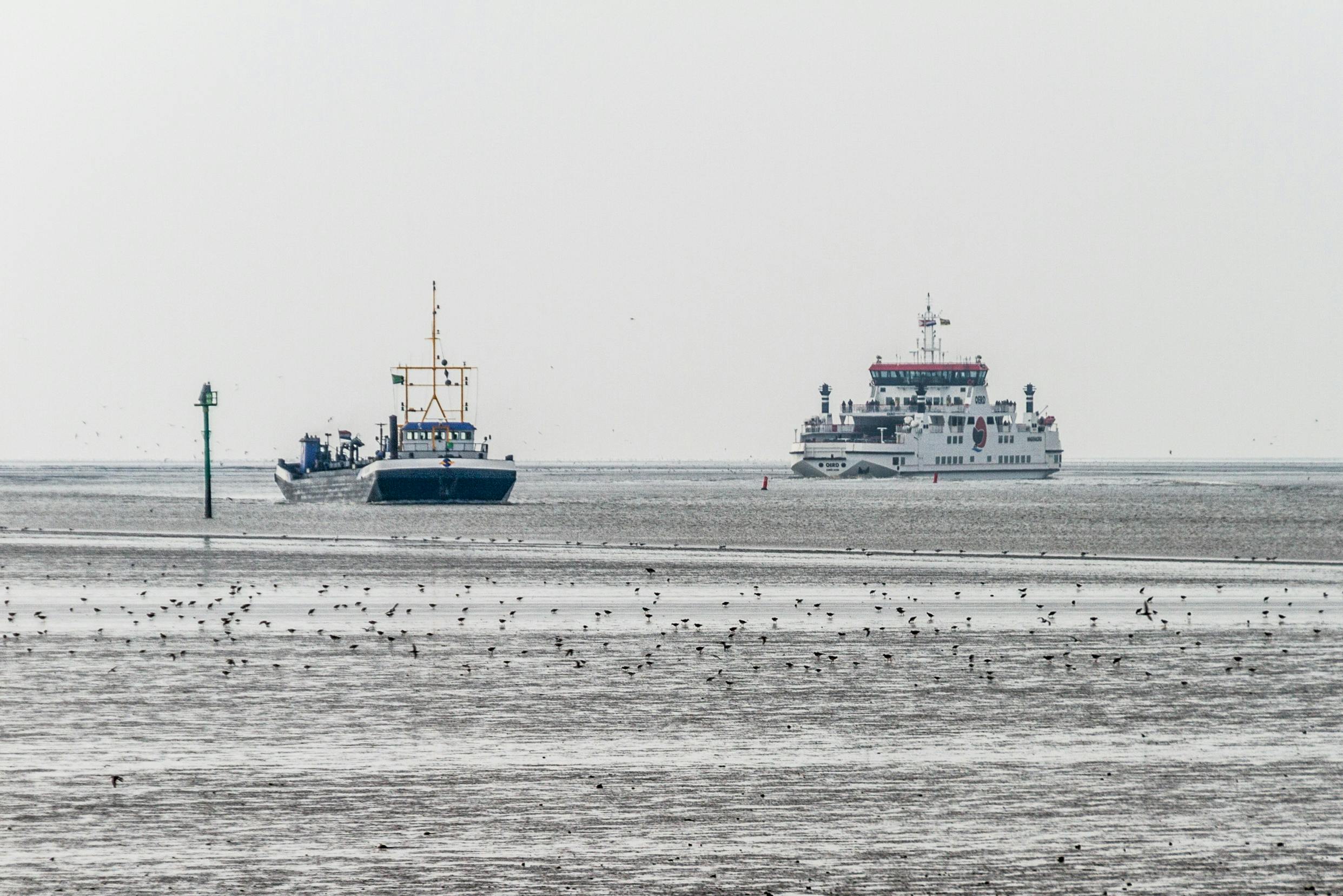 Waddenzee met links een baggerschip en rechts een veerboot.