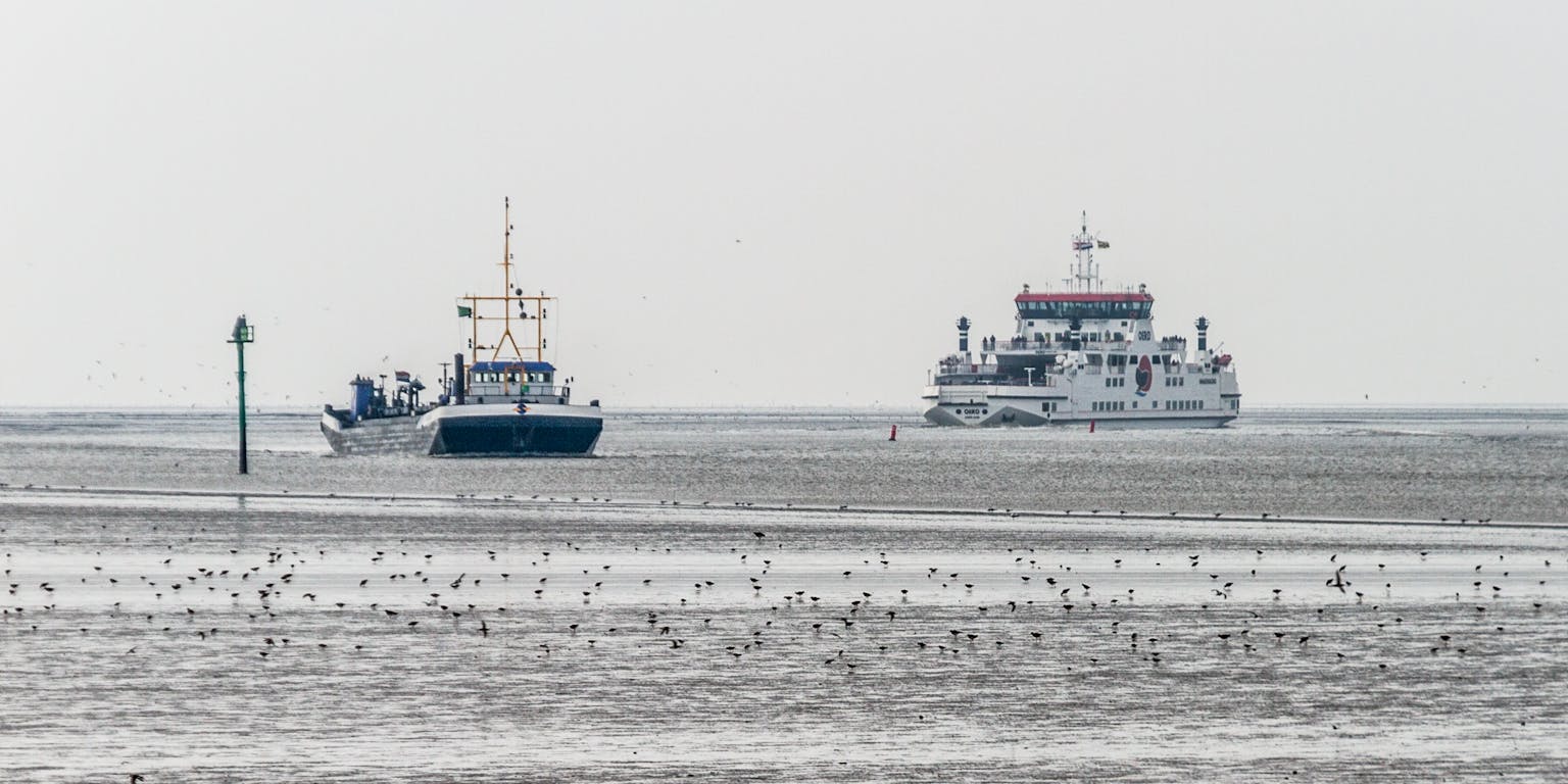 Waddenzee met links een baggerschip en rechts een veerboot.
