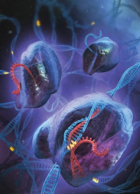 Een illustratie van een DNA-cel en een DNA-streng.