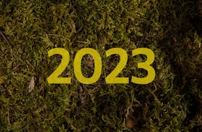 Een foto van een stukje mos met daarop '2023'.