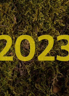 Een foto van een stukje mos met daarop '2023'.