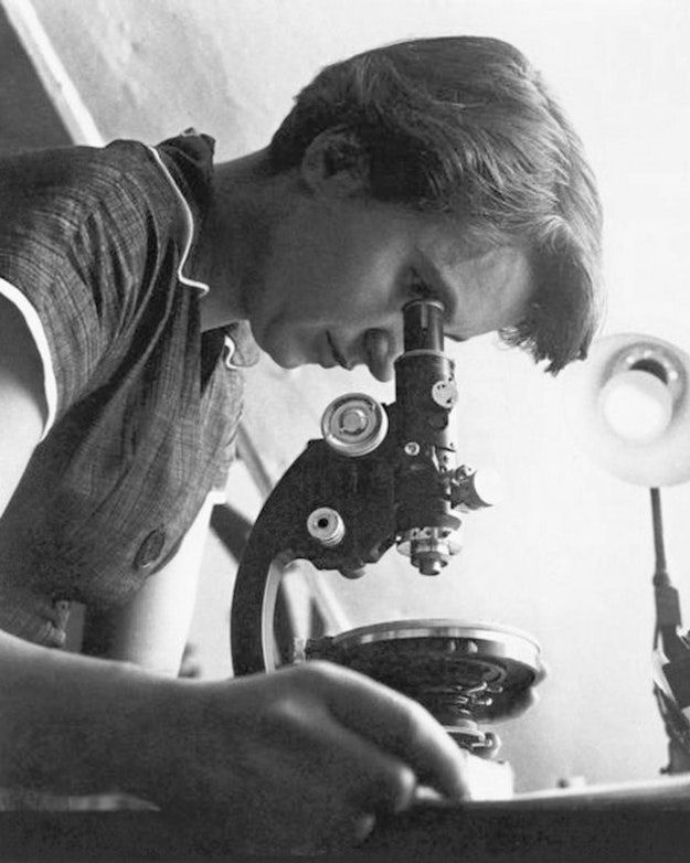 Rosalind Franklin kijkt in een microscoop.