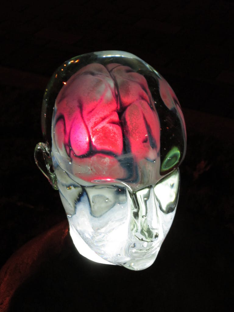 Een hoofd van glas. Het brein is uitgelicht in een rode kleur.