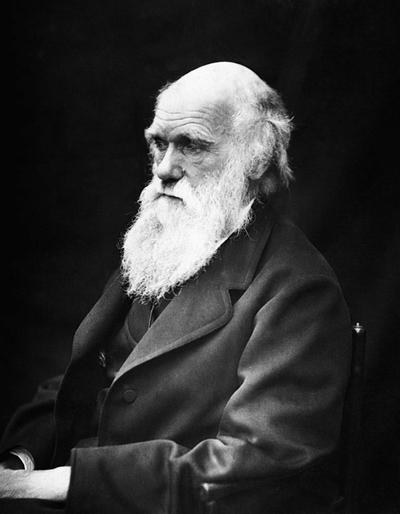 Charles Darwin, een Engelse wetenschapper die bekend staat om zijn theorie over de evolutie van het leven.