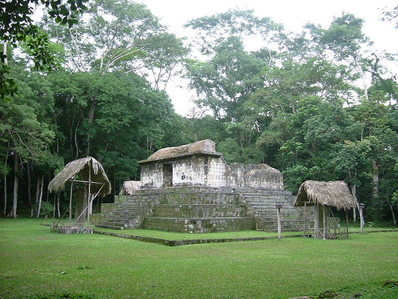 Piramide-achtige Mayatempel in de Jungle in Ceibal, Guatemala.