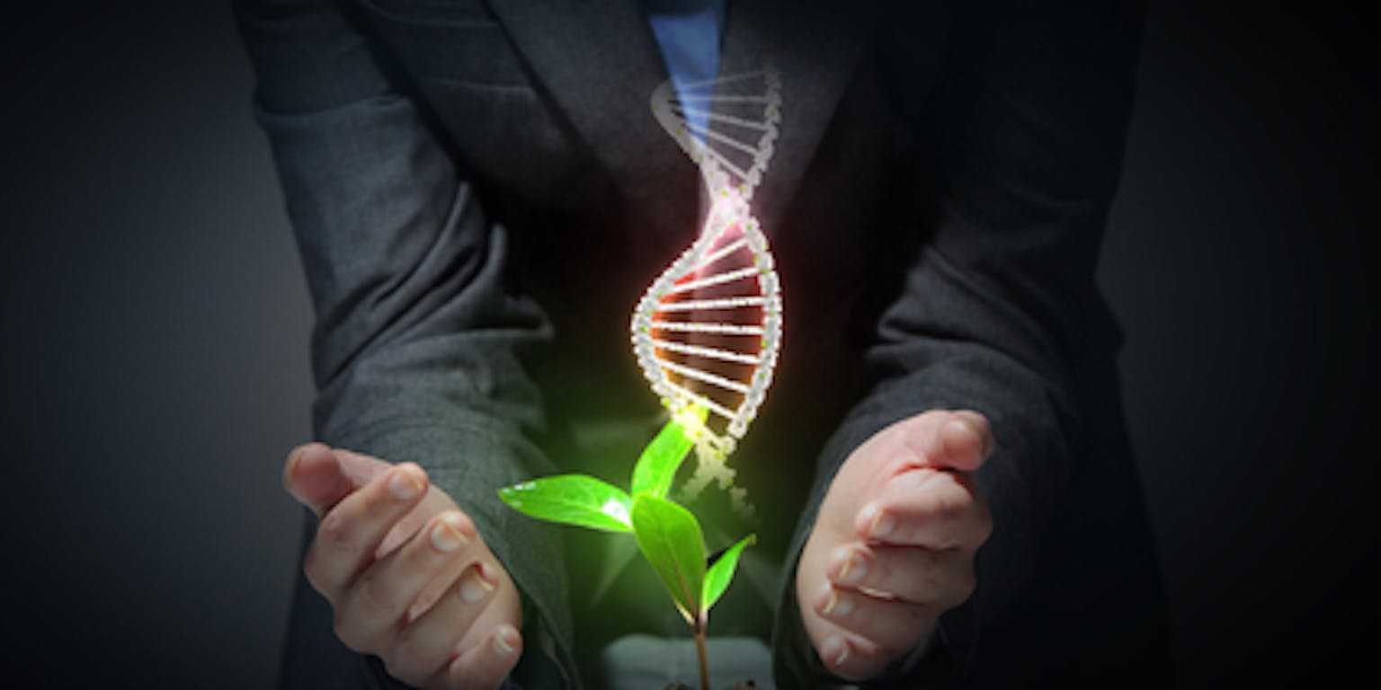 Zakenman die een plant vasthoudt met een DNA-streng erin.