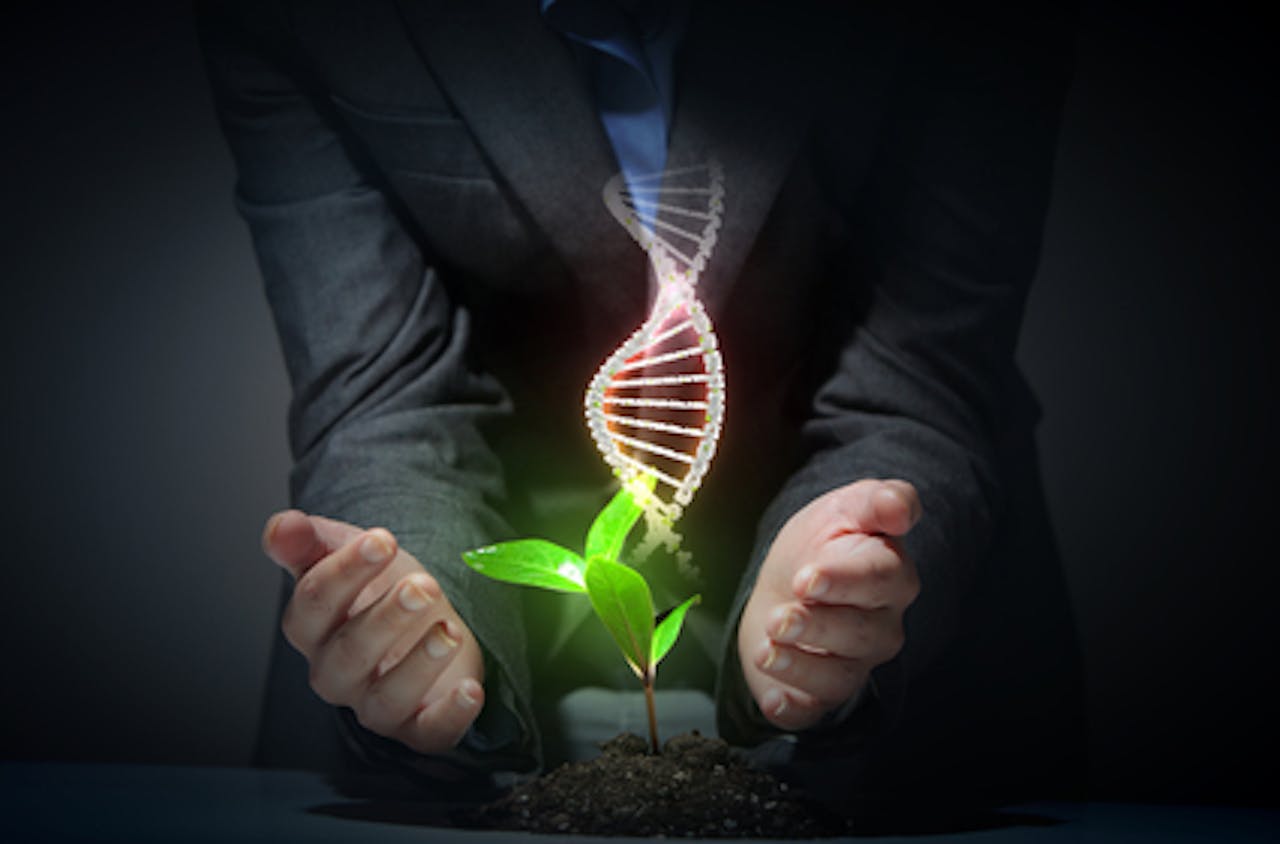 Zakenman die een plant vasthoudt met een DNA-streng erin.