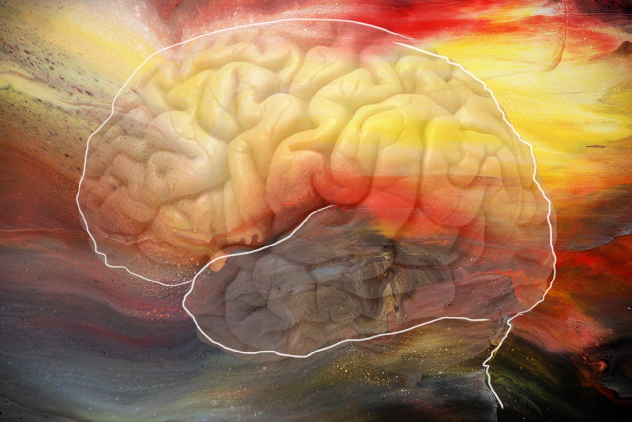 Een schilderij van hersenen met een kleurrijke achtergrond.