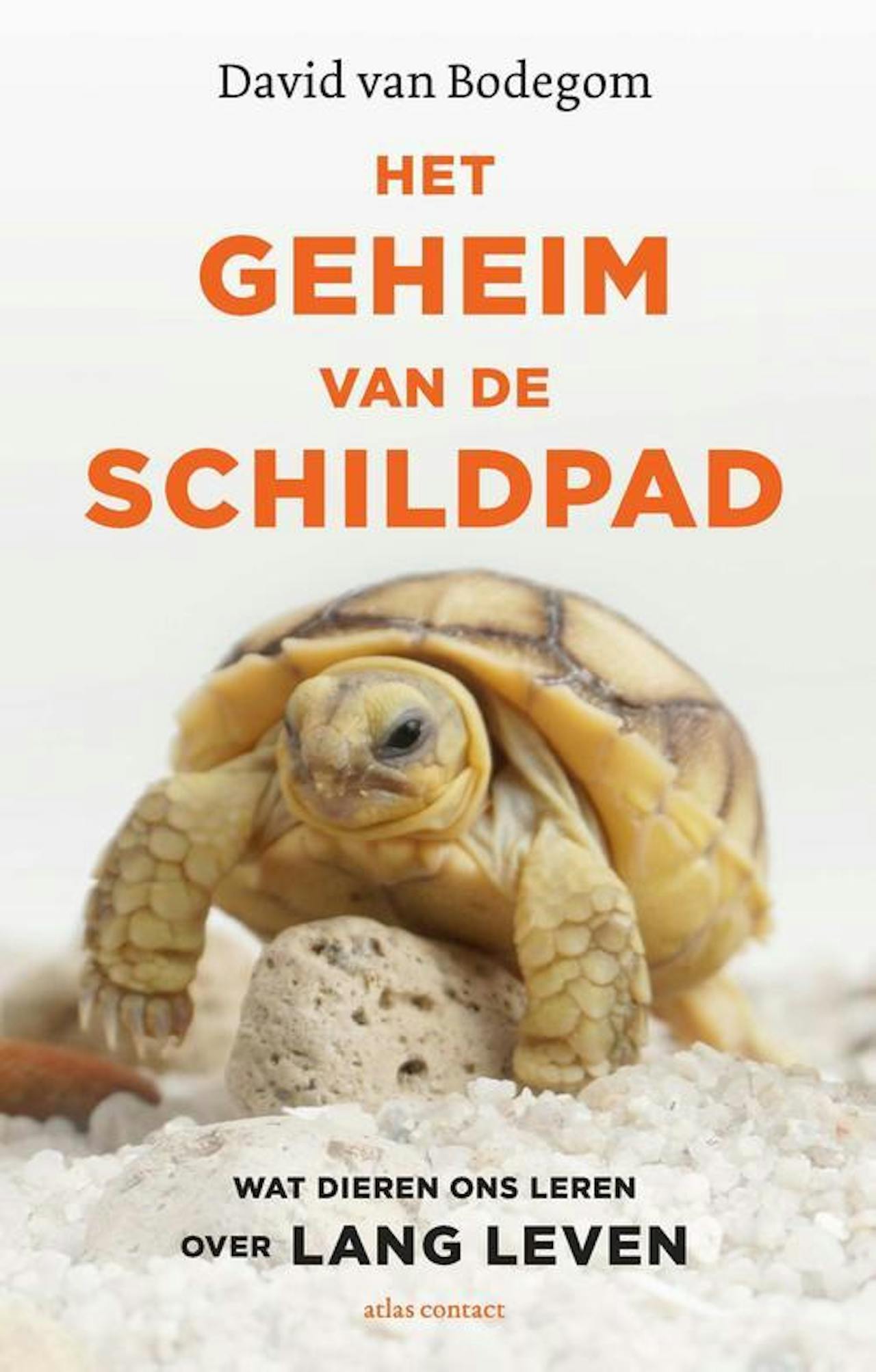 Cover van een boek van David van Bodegom: Het geheim van de schildpad, wat dieren ons leren over lang leven.