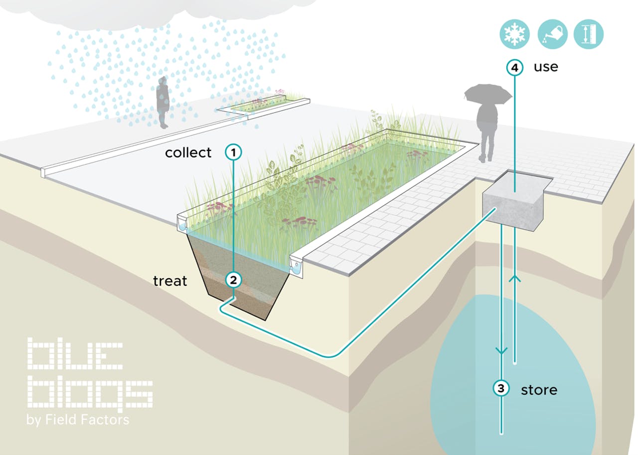 Het zogenoemde Bluebloqs-systeem verzamelt regenwater (1), filtert het (2) en slaat het ondergronds op voor later gebruik (3 & 4). NEMO Kennislink schreef eerder over dit systeem.