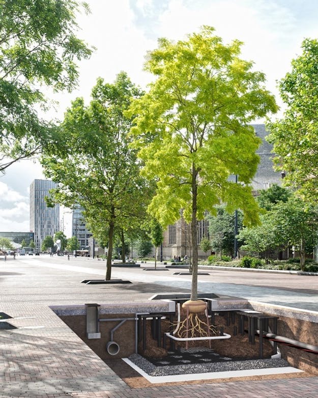 Impressie van een bewaterings- en beluchtingssysteem van Treenovations dat stadsbomen via buizen van voldoende water voorziet.