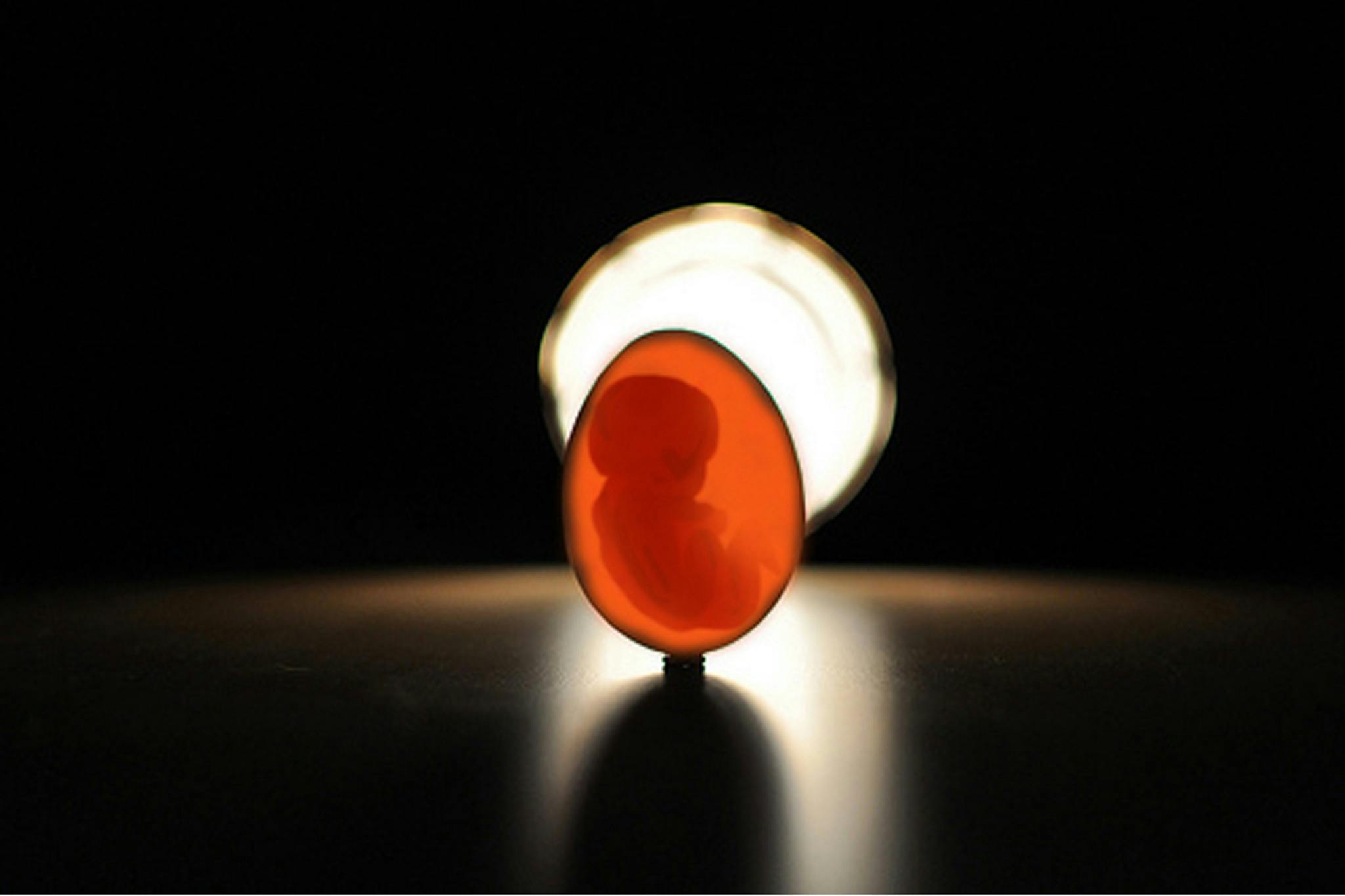 Een menselijke embryo in een ei.