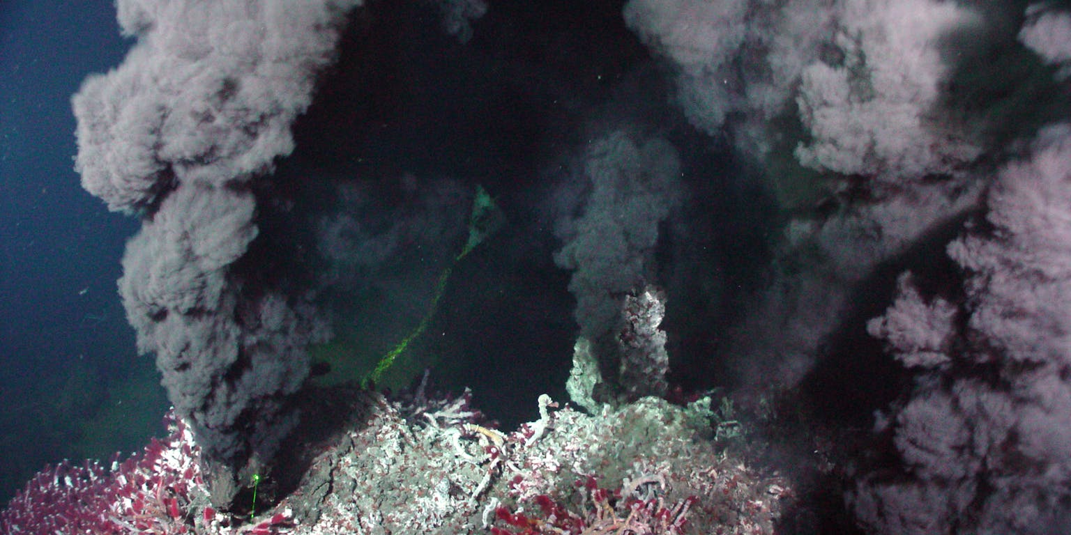 Een zwarte rook golft uit een koraalrif.