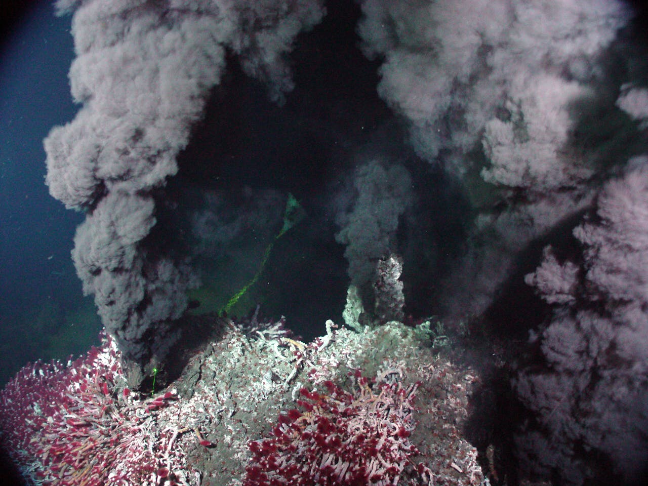Een zwarte rook golft uit een koraalrif.