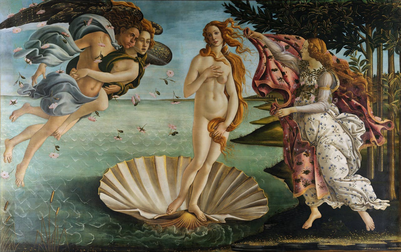Een afbeelding van de geboorte van Venus door Renato da Vinci.