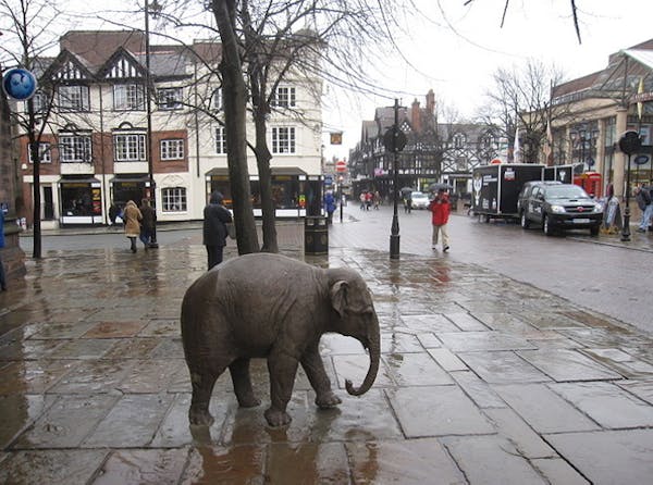 Een klein bronzen beeld van een olifant geplaatst op een plein in een Nederlandse straatbeeld