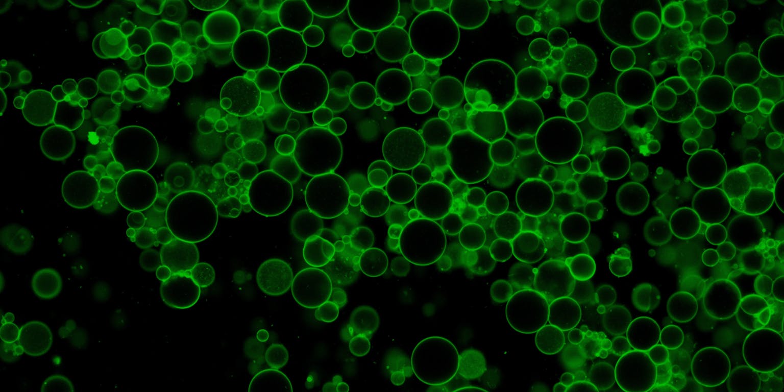 Groene bubbels (liposomen) op een zwarte achtergrond.