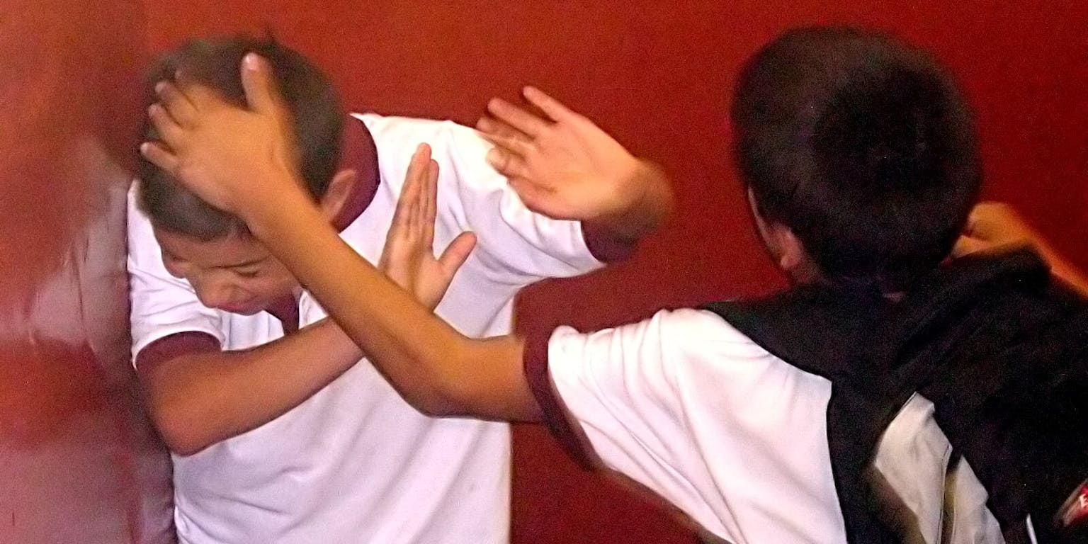 Twee vechtende jongens