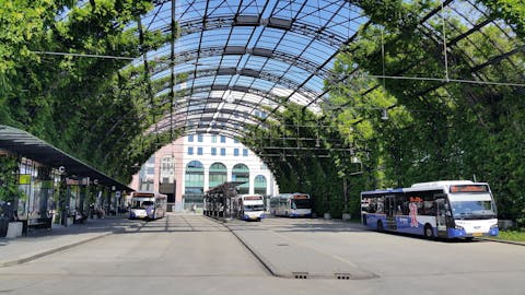 Een gigantische pergola met blauwe regens boven het busstation van Heerlen.