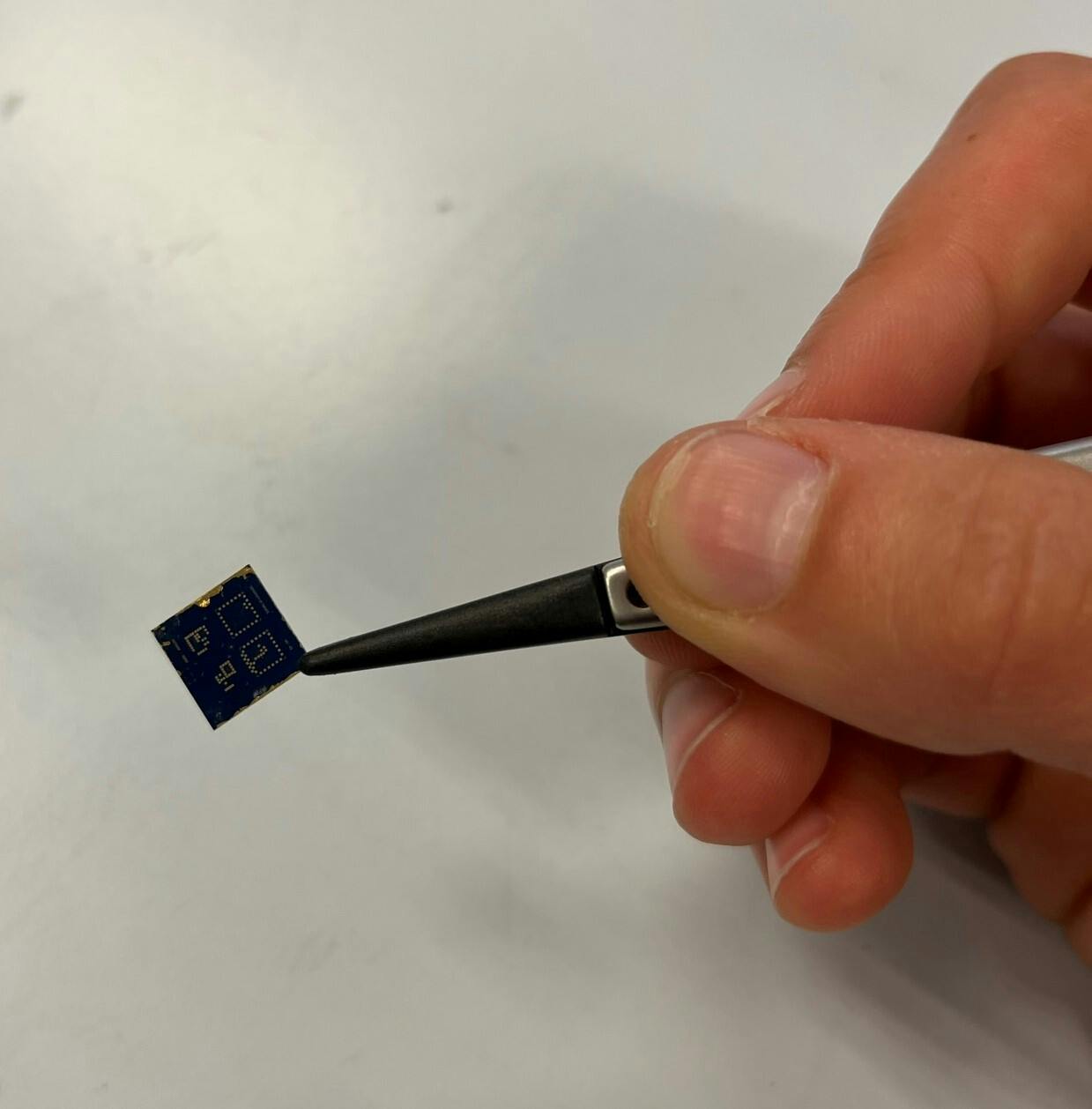 Iemand die een chip vasthoudt.