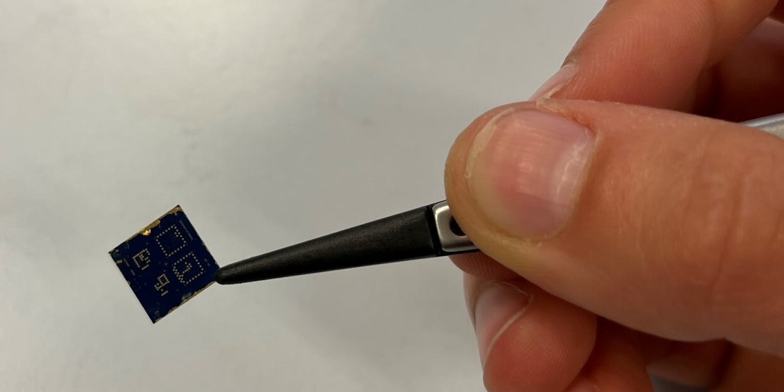 Iemand die een chip vasthoudt.