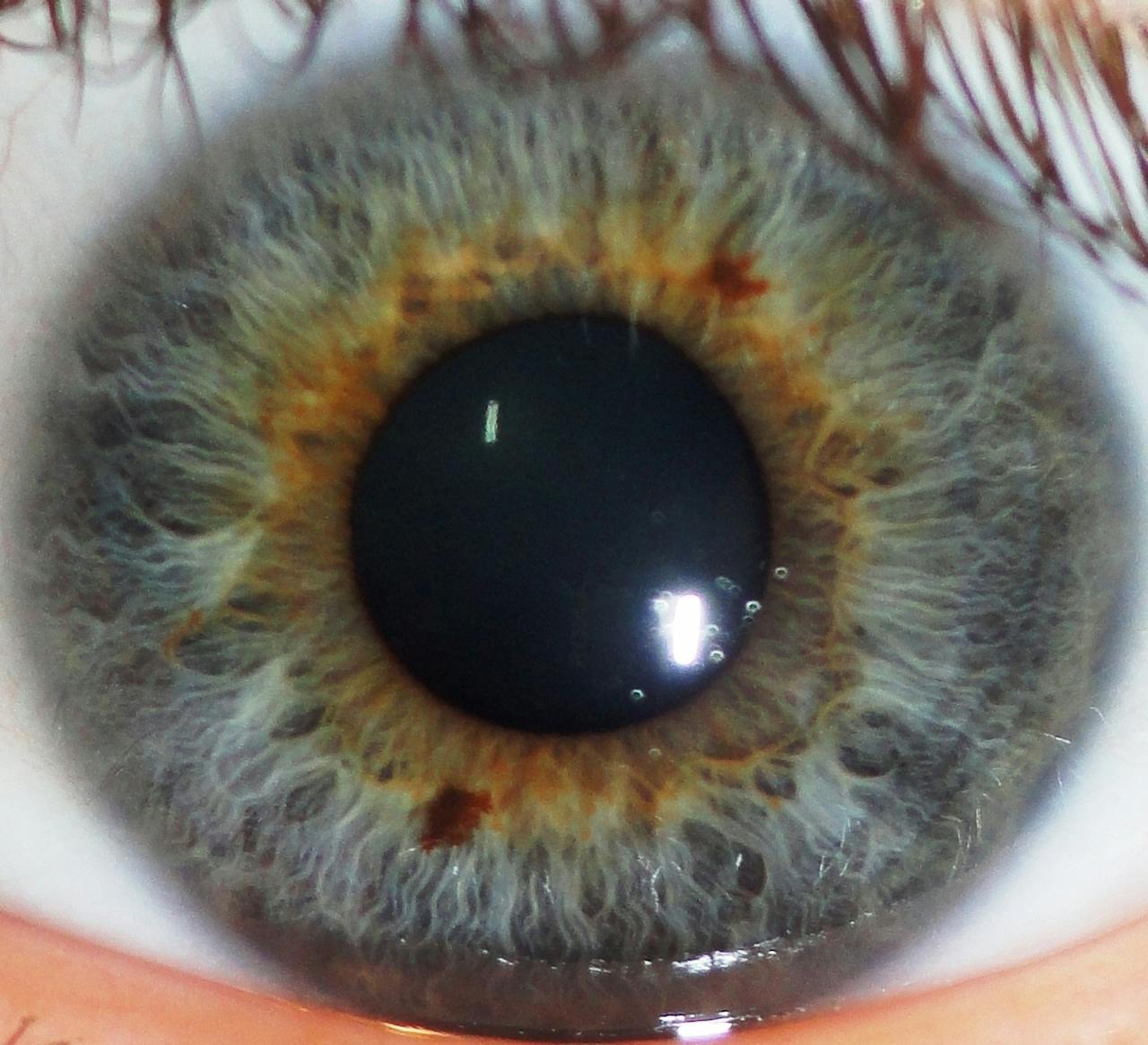 Een close-up van iemands oog, de iris.
