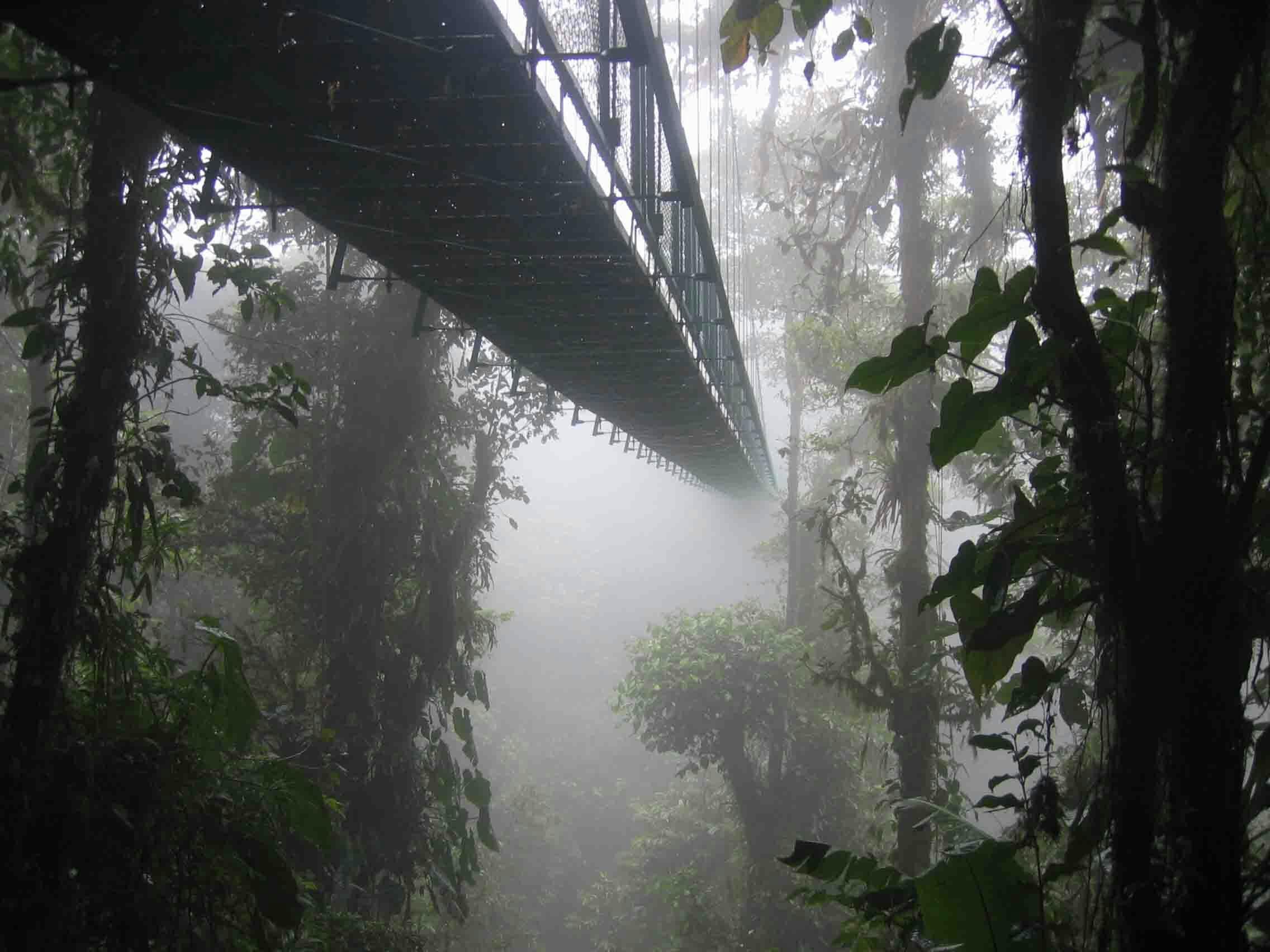 de Santa Elena Skywalk in Costa Rica. Een hangbrug midden in de jungle.