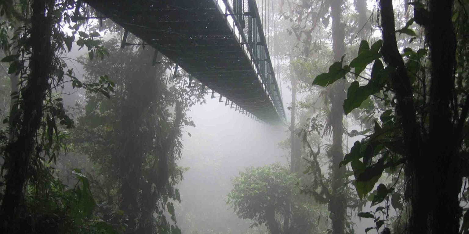 de Santa Elena Skywalk in Costa Rica. Een hangbrug midden in de jungle.