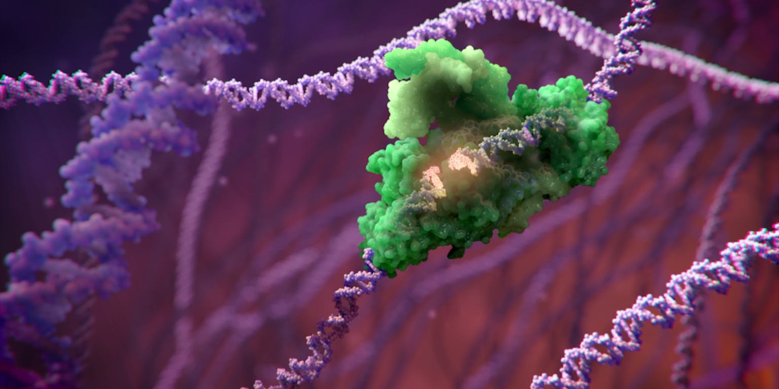 Een afbeelding van CRISPR-Cas, het afweersysteem van bacteriën.